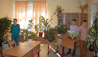 Групповой проект учащихся 5 класса «Путешествие с комнатными растениями» (частная школа «ЛАД», Москва, 2016)