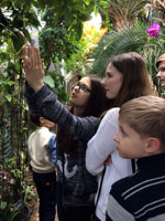 Экскурсия в Ботанический сад МГУ (частная школа «ЛАД», Москва, 2017)